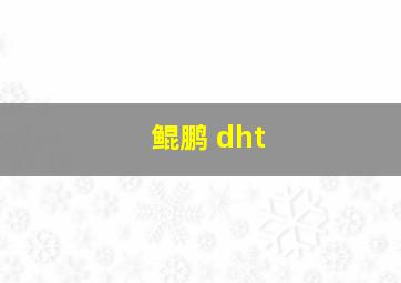 鲲鹏 dht